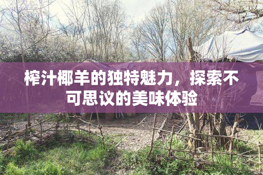 榨汁椰羊的独特魅力，探索不可思议的美味体验