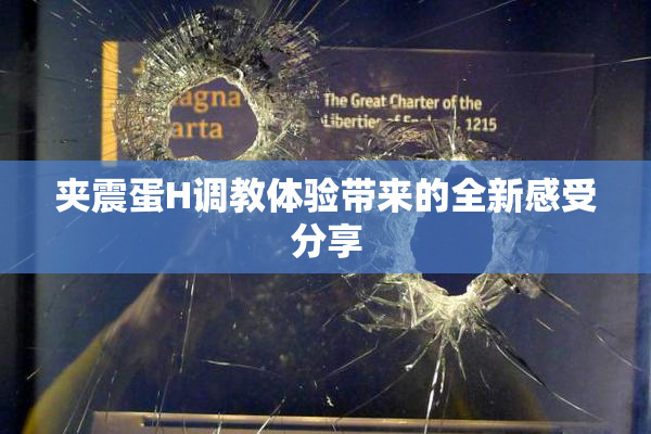 夹震蛋H调教体验带来的全新感受分享