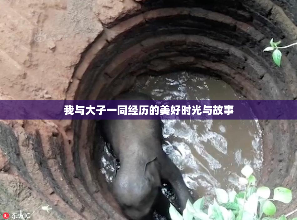 我与大子一同经历的美好时光与故事