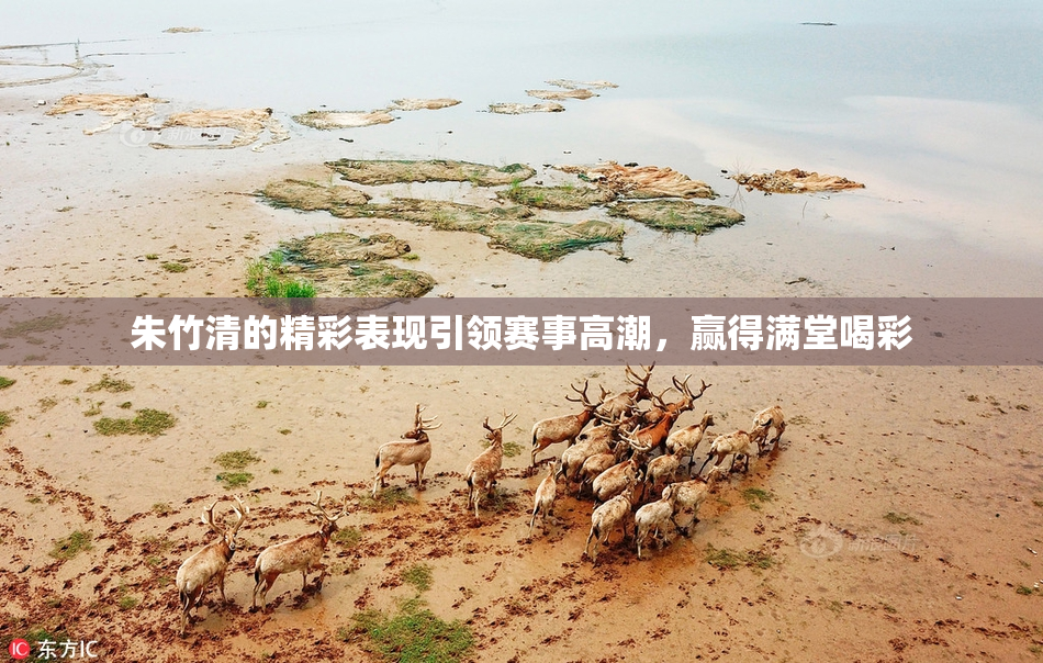 朱竹清的精彩表现引领赛事高潮，赢得满堂喝彩
