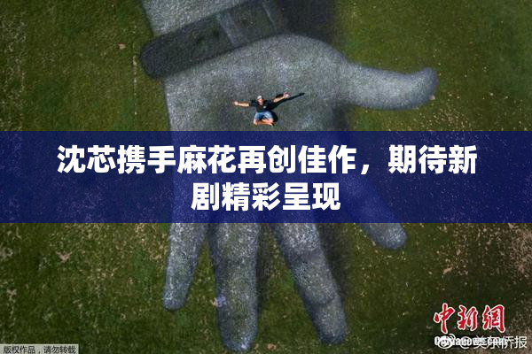 沈芯携手麻花再创佳作，期待新剧精彩呈现