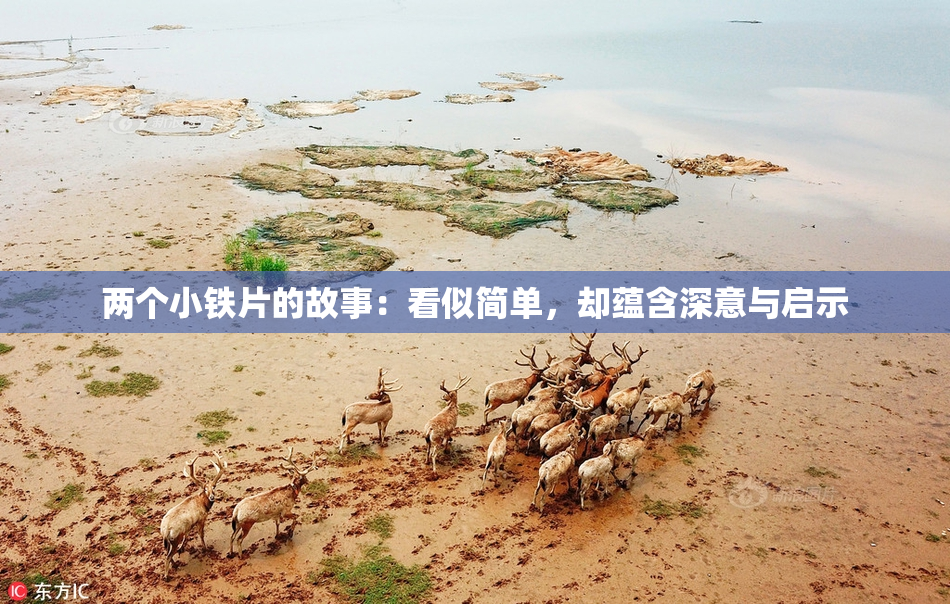 两个小铁片的故事：看似简单，却蕴含深意与启示
