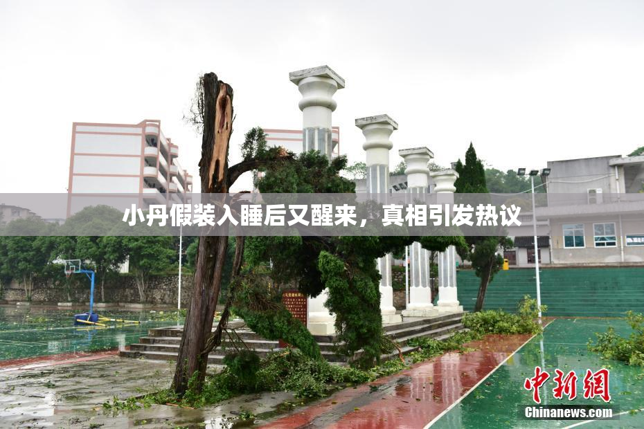 小丹假装入睡后又醒来，真相引发热议