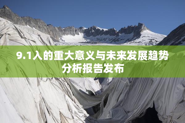 9.1入的重大意义与未来发展趋势分析报告发布