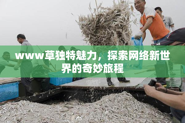 www草独特魅力，探索网络新世界的奇妙旅程