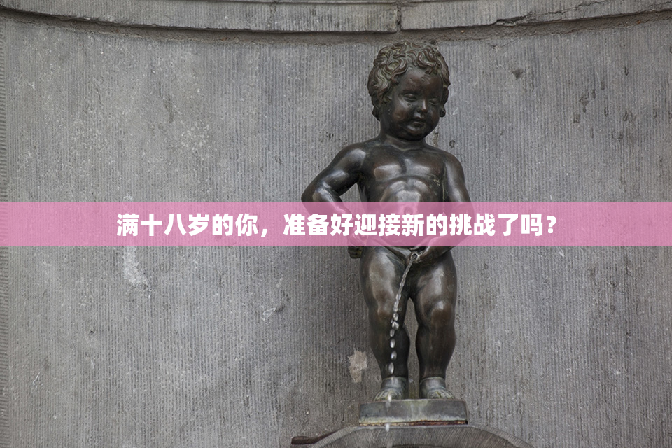满十八岁的你，准备好迎接新的挑战了吗？