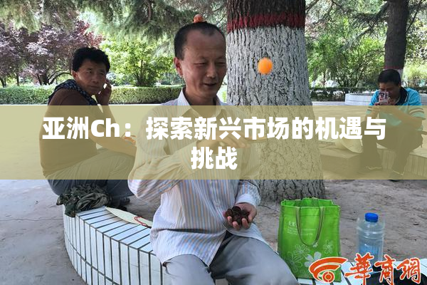 亚洲Ch：探索新兴市场的机遇与挑战