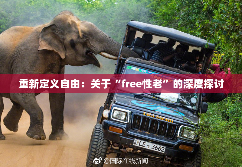 重新定义自由：关于“free性老”的深度探讨