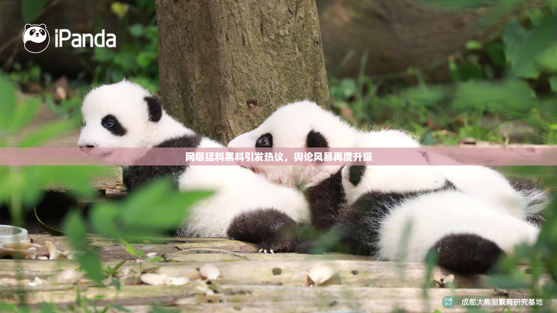网曝猛料黑料引发热议，舆论风暴再度升级