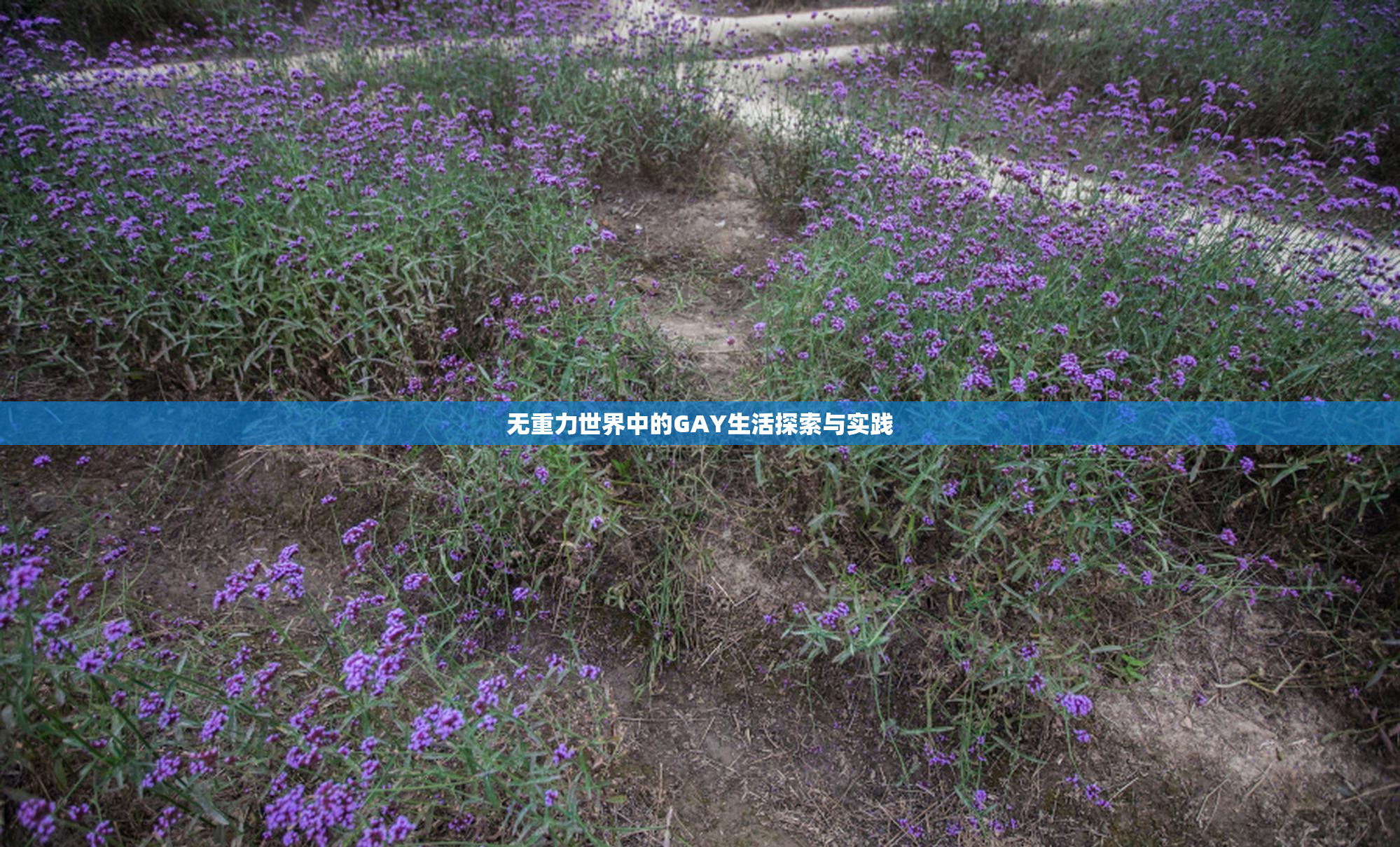 无重力世界中的GAY生活探索与实践
