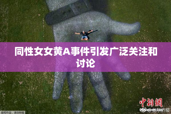 同性女女黄A事件引发广泛关注和讨论