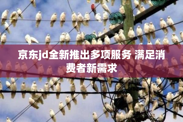 京东jd全新推出多项服务 满足消费者新需求