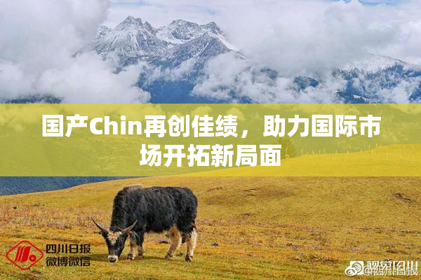 国产Chin再创佳绩，助力国际市场开拓新局面