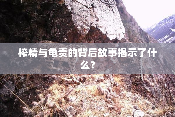 榨精与龟责的背后故事揭示了什么？
