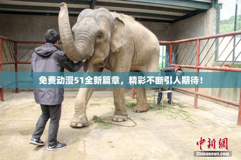 免费动漫51全新篇章，精彩不断引人期待！