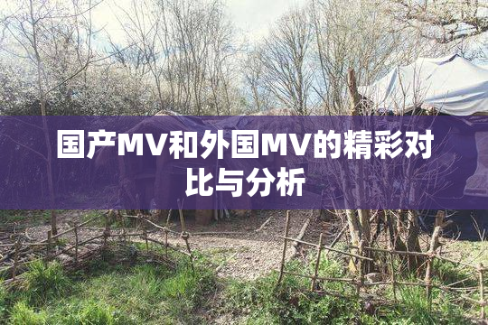 国产MV和外国MV的精彩对比与分析