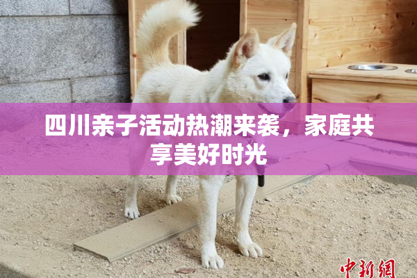 四川亲子活动热潮来袭，家庭共享美好时光