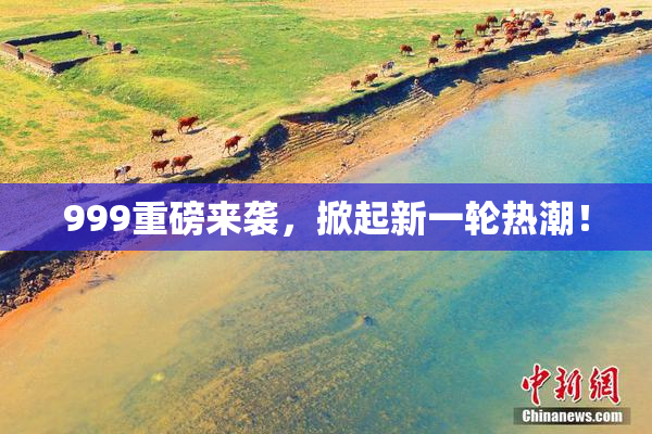 999重磅来袭，掀起新一轮热潮！