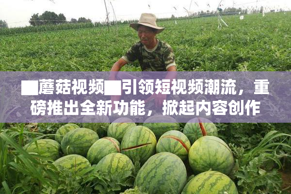 ▇蘑菇视频▇引领短视频潮流，重磅推出全新功能，掀起内容创作热潮！