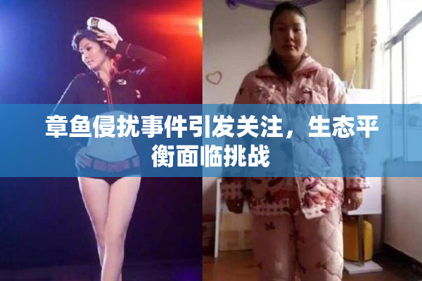 章鱼侵扰事件引发关注，生态平衡面临挑战