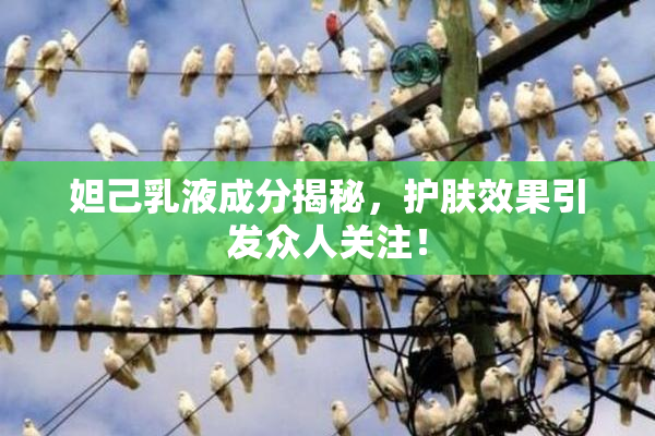 妲己乳液成分揭秘，护肤效果引发众人关注！