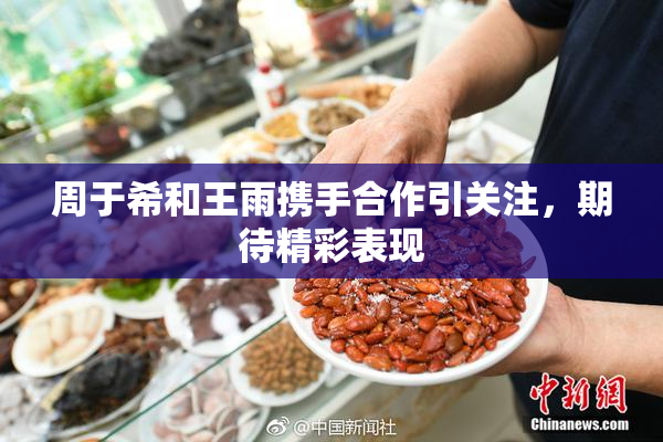 周于希和王雨携手合作引关注，期待精彩表现