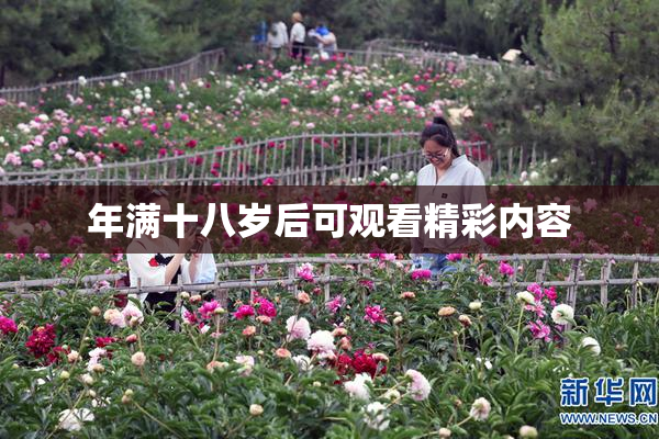 年满十八岁后可观看精彩内容