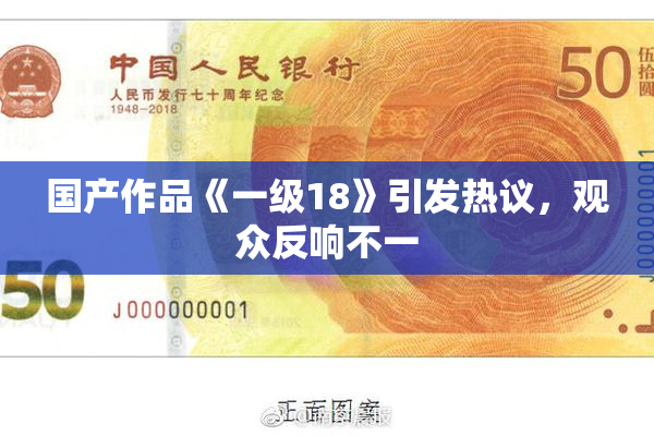 国产作品《一级18》引发热议，观众反响不一