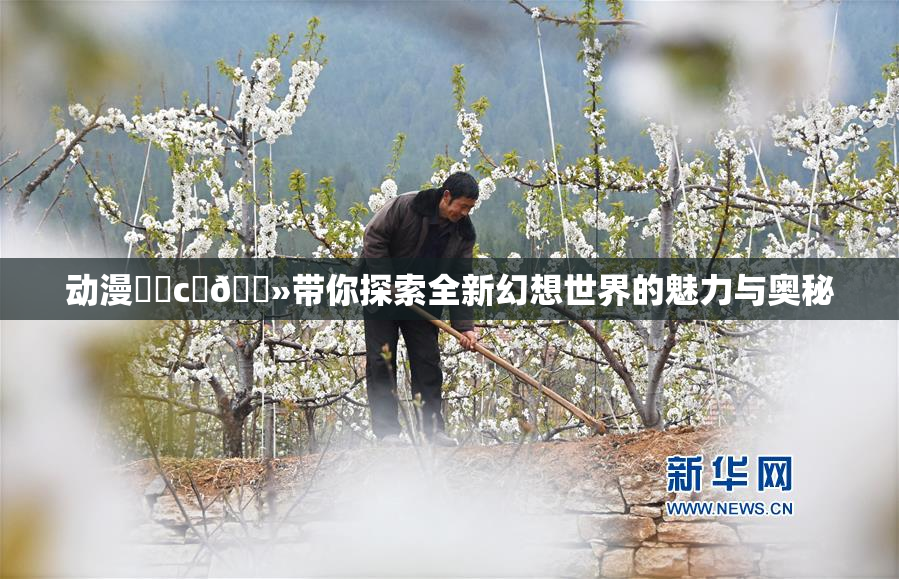 动漫❌‌c‌🐻带你探索全新幻想世界的魅力与奥秘
