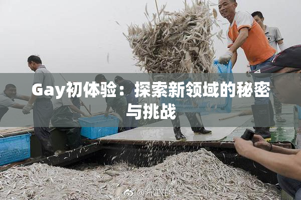 Gay初体验：探索新领域的秘密与挑战