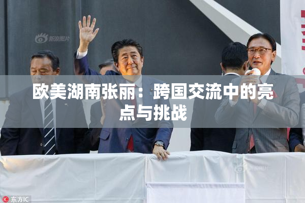 欧美湖南张丽：跨国交流中的亮点与挑战