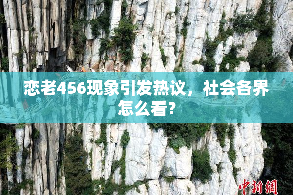 恋老456现象引发热议，社会各界怎么看？