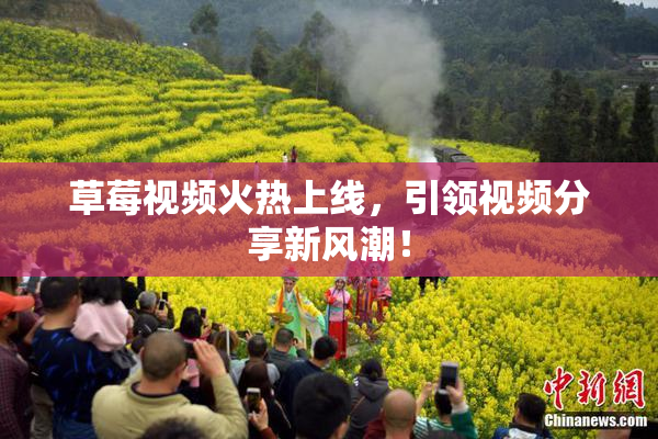 草莓视频火热上线，引领视频分享新风潮！