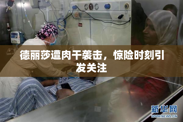 德丽莎遭肉干袭击，惊险时刻引发关注