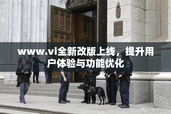 www.vi全新改版上线，提升用户体验与功能优化