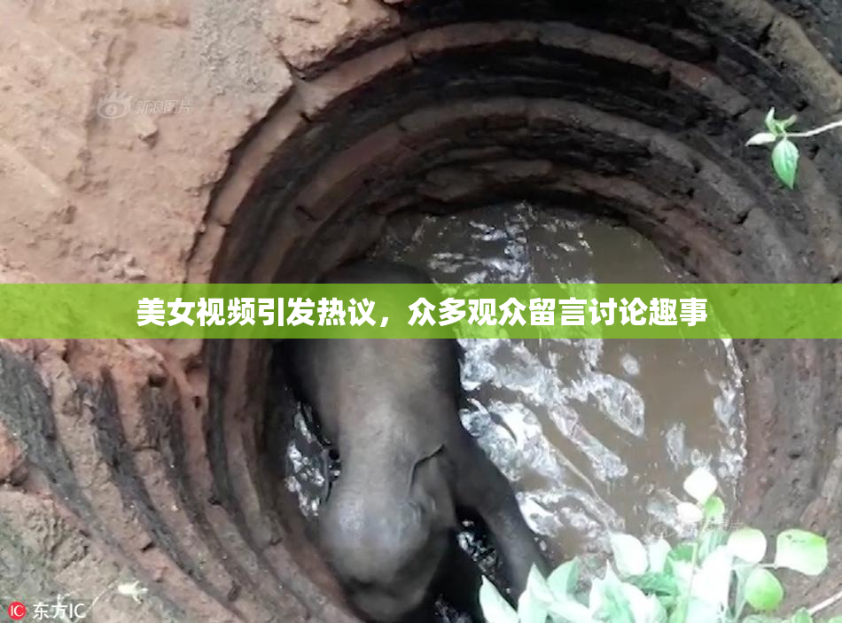 美女视频引发热议，众多观众留言讨论趣事