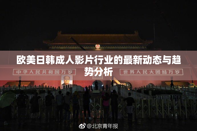 欧美日韩成人影片行业的最新动态与趋势分析