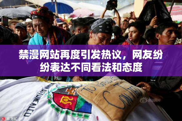 禁漫网站再度引发热议，网友纷纷表达不同看法和态度