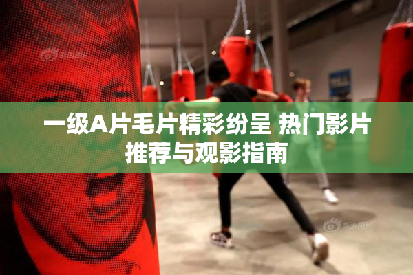 一级A片毛片精彩纷呈 热门影片推荐与观影指南