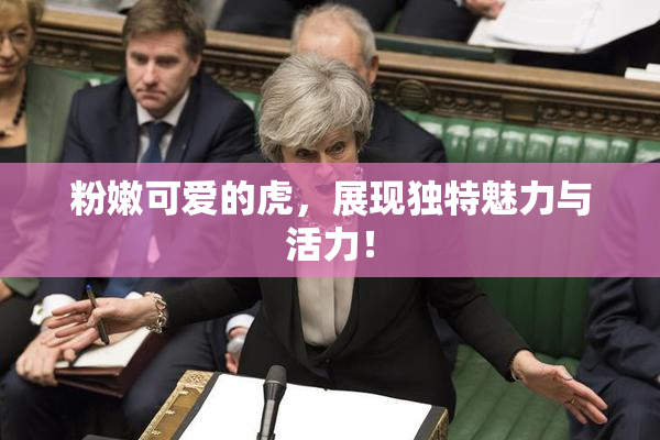 粉嫩可爱的虎，展现独特魅力与活力！
