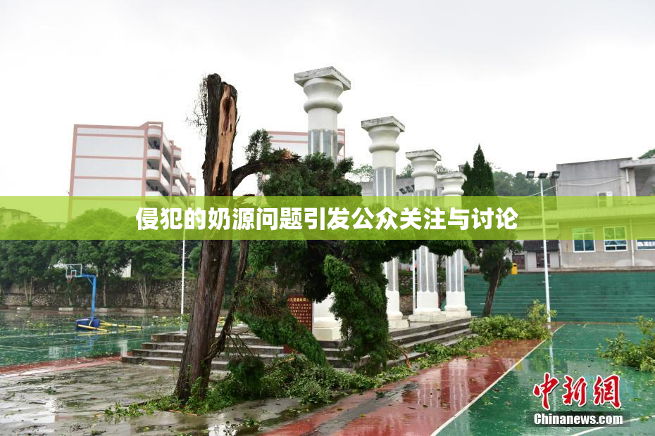 侵犯的奶源问题引发公众关注与讨论