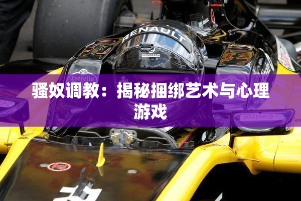 骚奴调教：揭秘捆绑艺术与心理游戏