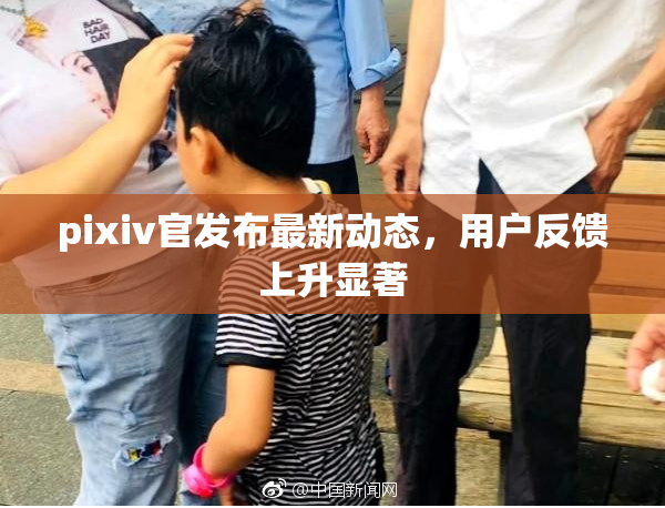 pixiv官发布最新动态，用户反馈上升显著