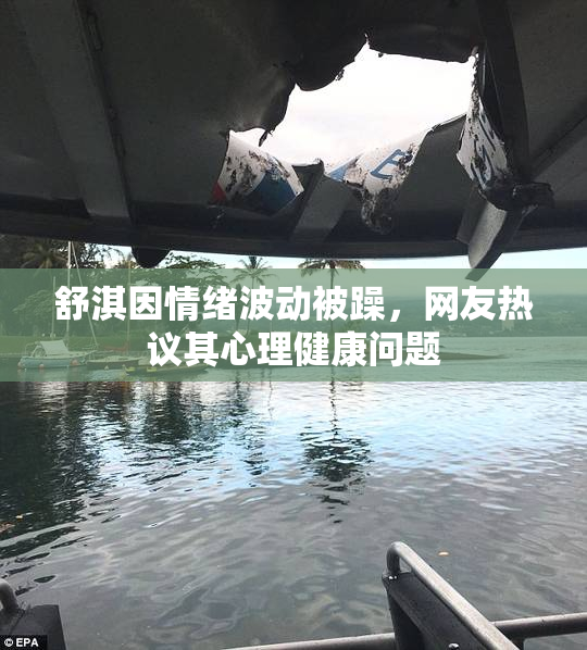 舒淇因情绪波动被躁，网友热议其心理健康问题