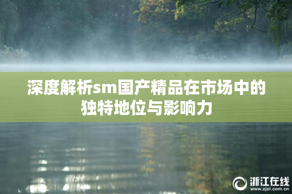 深度解析sm国产精品在市场中的独特地位与影响力