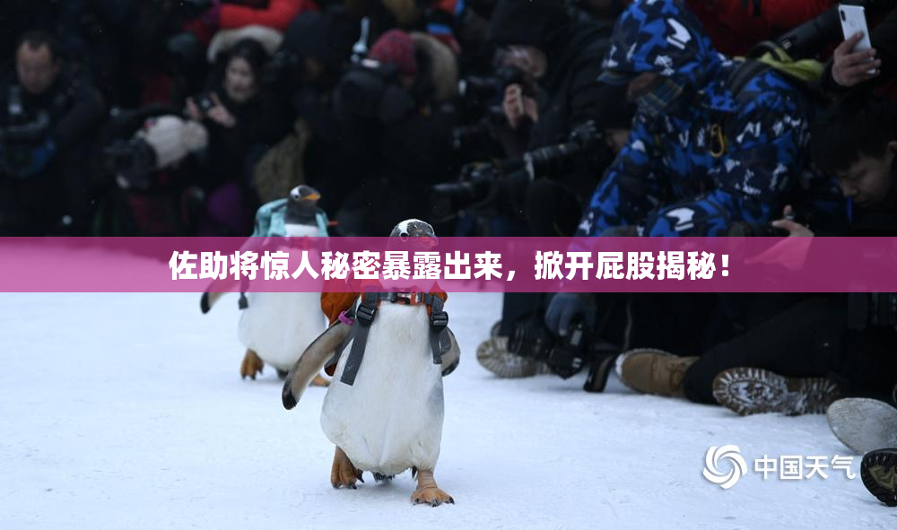 佐助将惊人秘密暴露出来，掀开屁股揭秘！