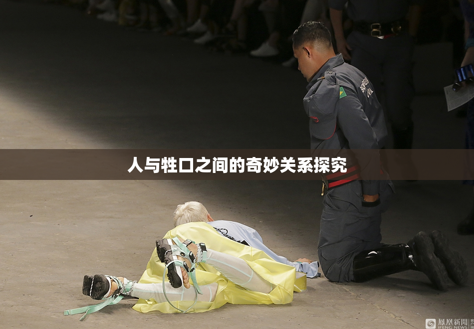 人与牲口之间的奇妙关系探究
