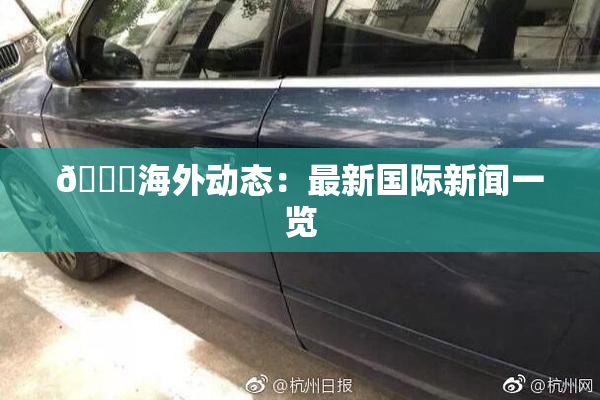 🔞海外动态：最新国际新闻一览