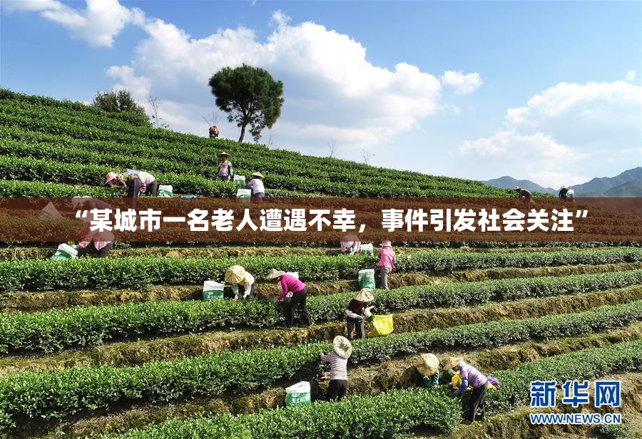 “某城市一名老人遭遇不幸，事件引发社会关注”