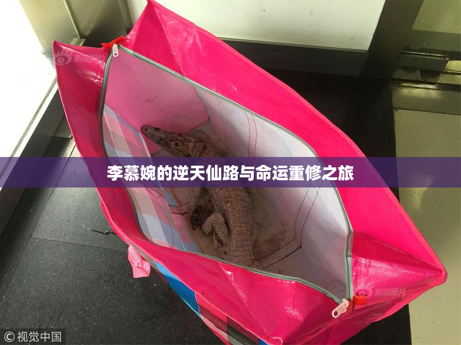 李慕婉的逆天仙路与命运重修之旅